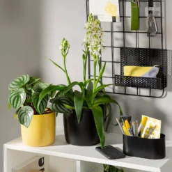 Home Essentials Shop -Home Essentials Shop 13432905 3824914561556098