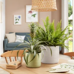 Scheurich Ripple White Indoor Pot - 20cm -Home Essentials Shop 13953260 1154987120198644