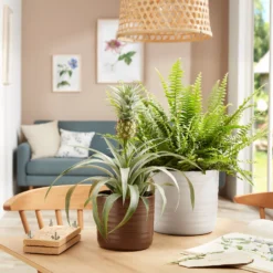 Home Essentials Shop -Home Essentials Shop 13953260 2084987120140852