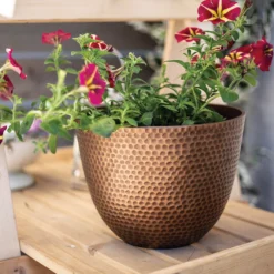 Suva Hammered Pot Bronze - 31cm -Home Essentials Shop 13973654 6975011805770104