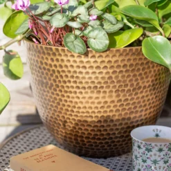 Suva Hammered Pot Bronze - 31cm -Home Essentials Shop 13973654 7605011805627355